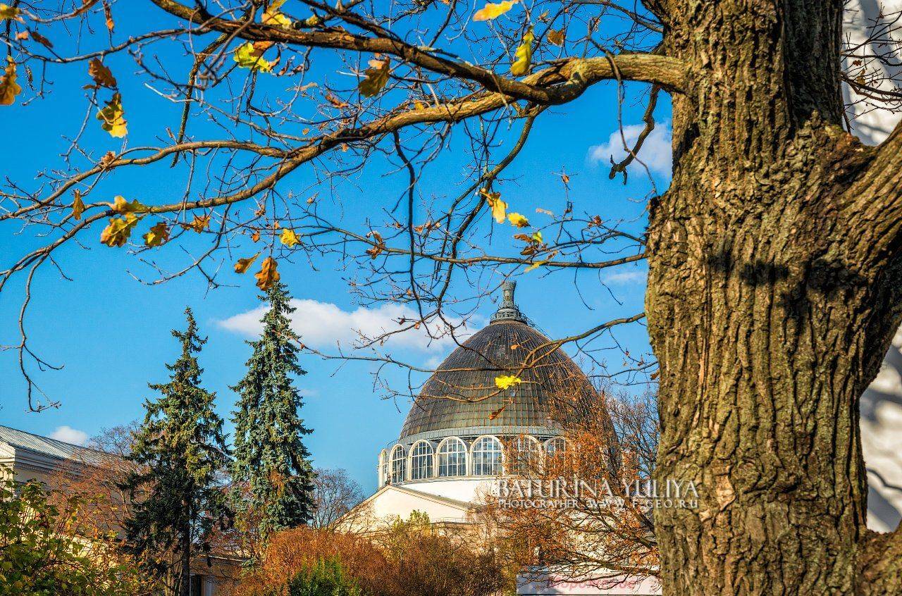 вднх, москва, павильон 34, Юлия Батурина