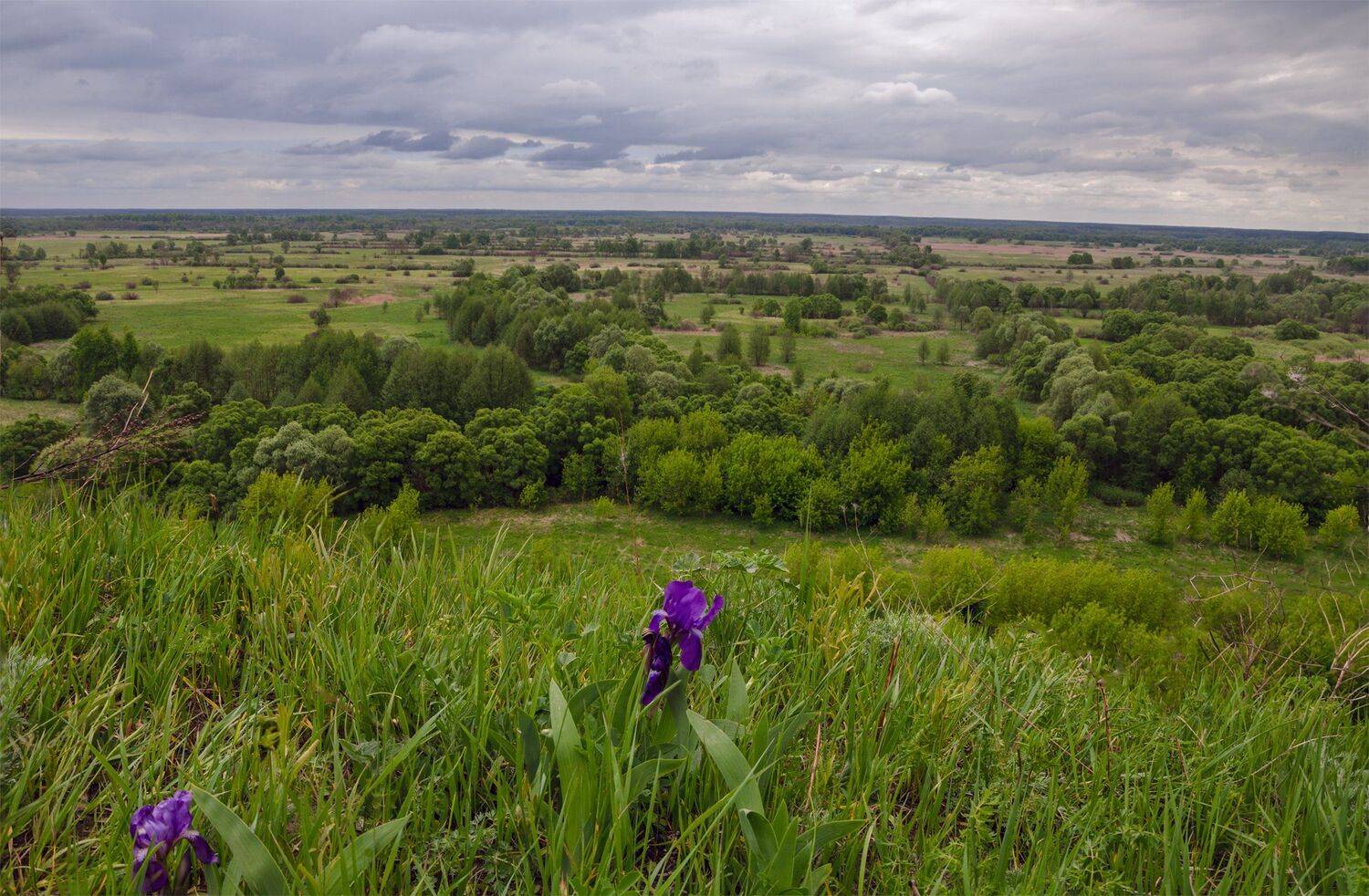 nevant60 березуцкий _александр природа красота пейзаж брянск, Александр Березуцкий