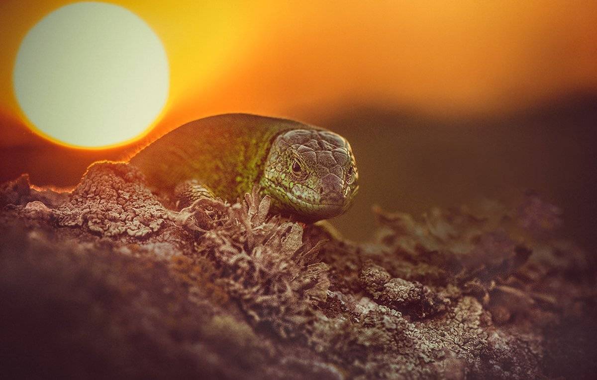 , Татьяна Аверина