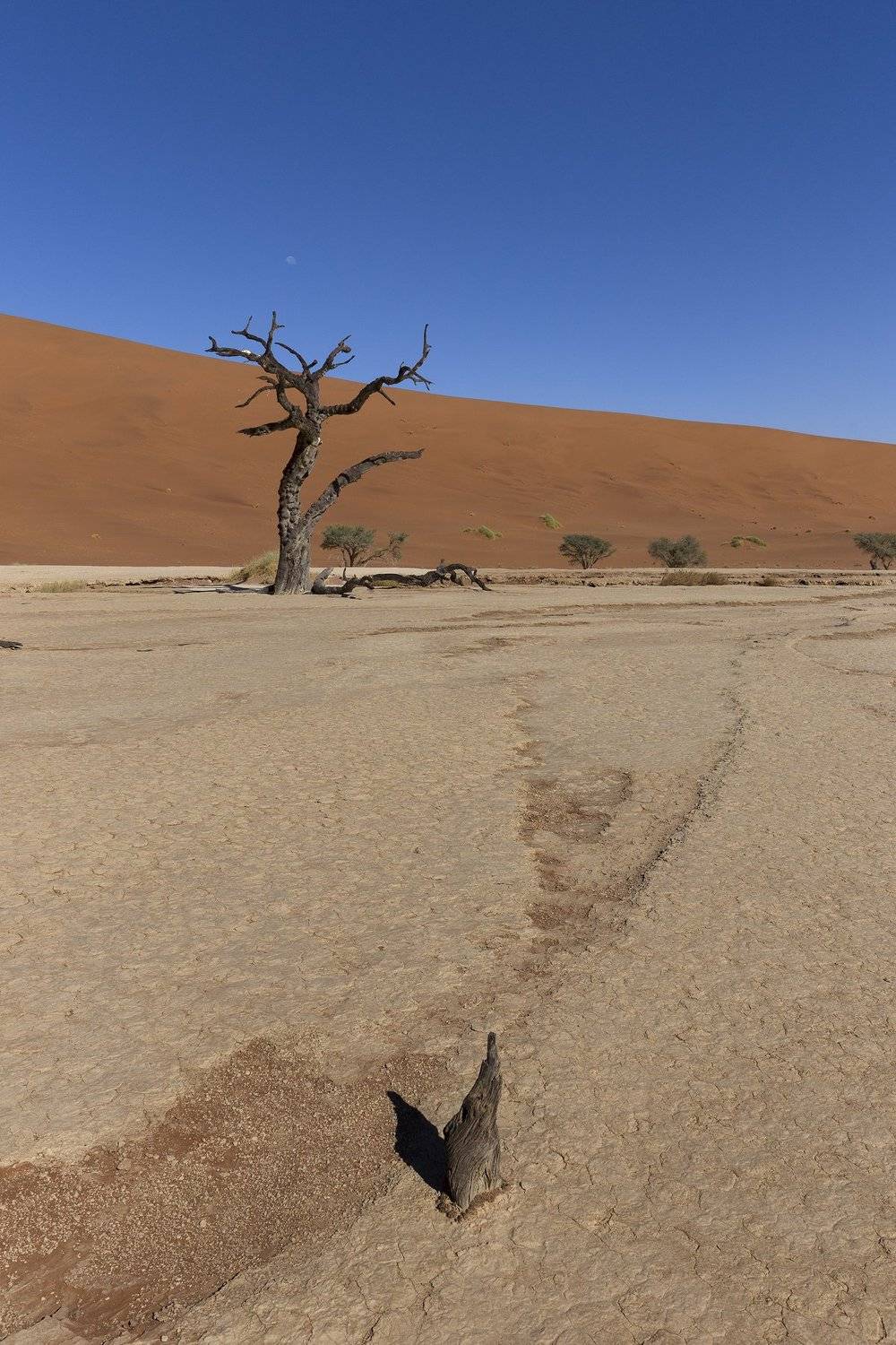 , Гайдабуров Сергей