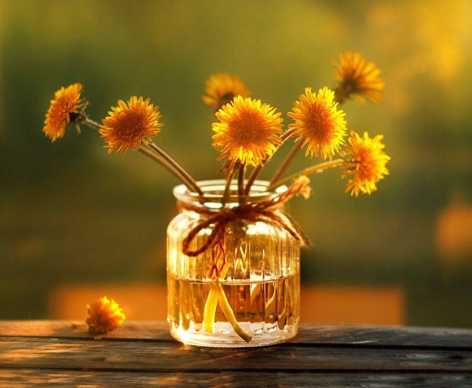 , Инна Богуславская