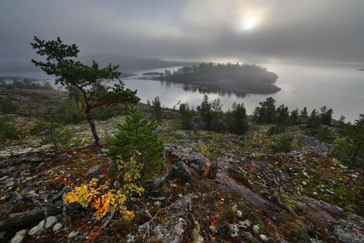 , Максим Евдокимов (www.wildphotorus.ru)