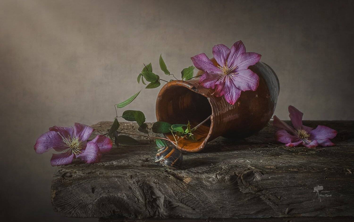 , Инна Сухова