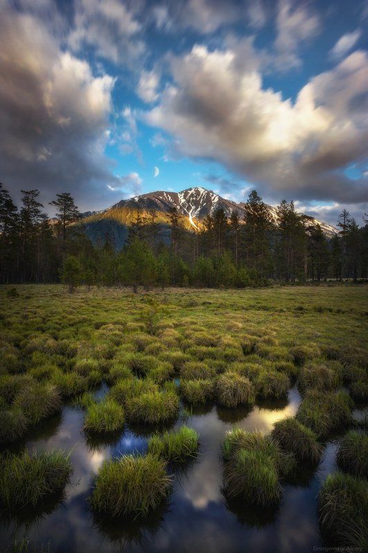 *** фото превью