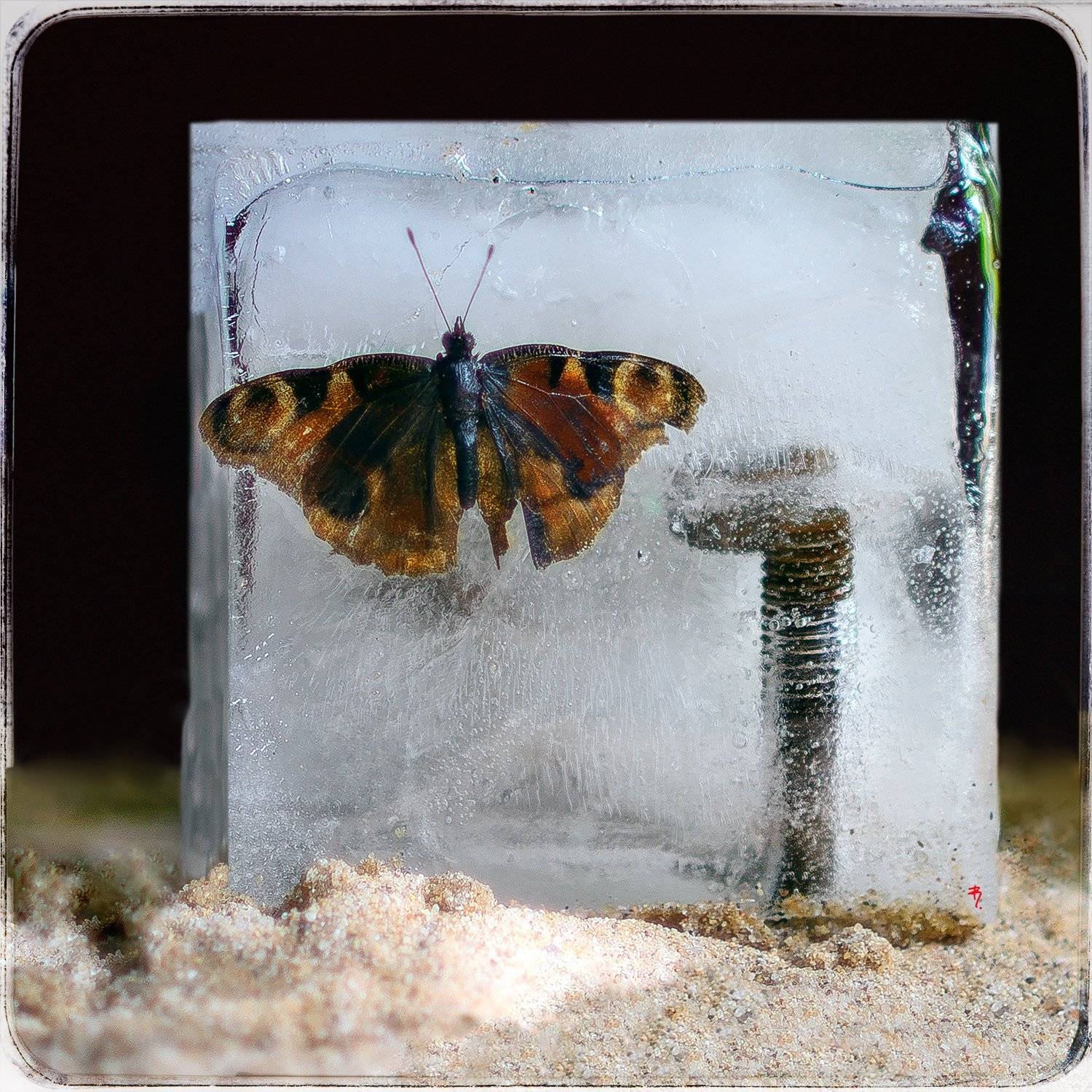 , Владимир Симакин