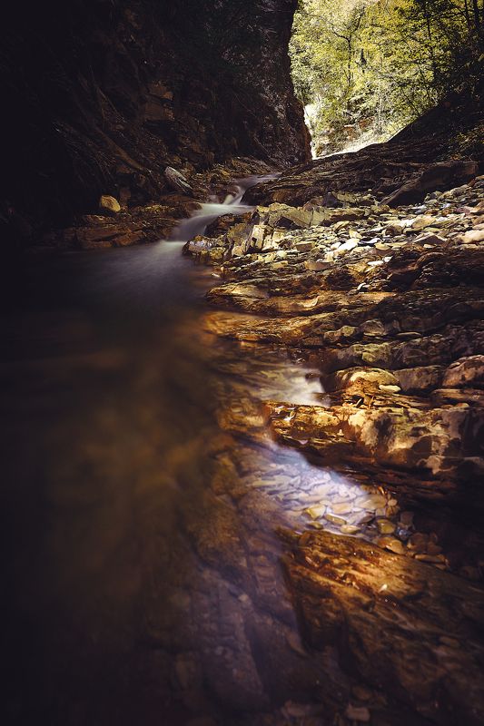 В начале пути фото превью
