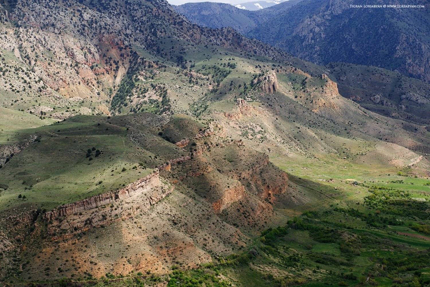 , Тигран Лорсабян