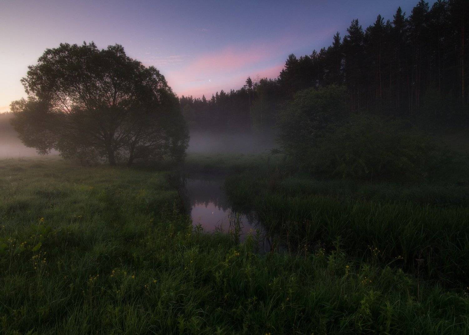 , Сергей Добровольский