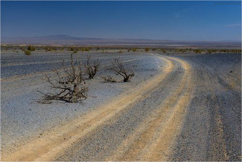 Цветная Гоби.