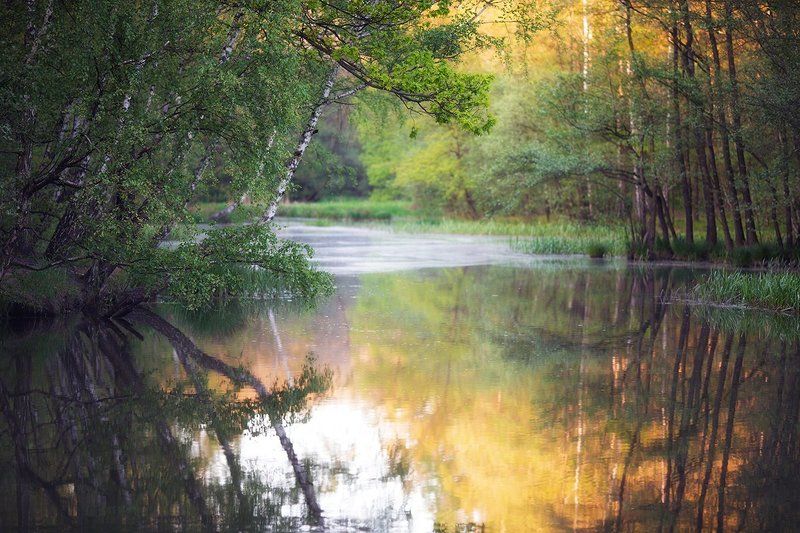 Lake фото превью