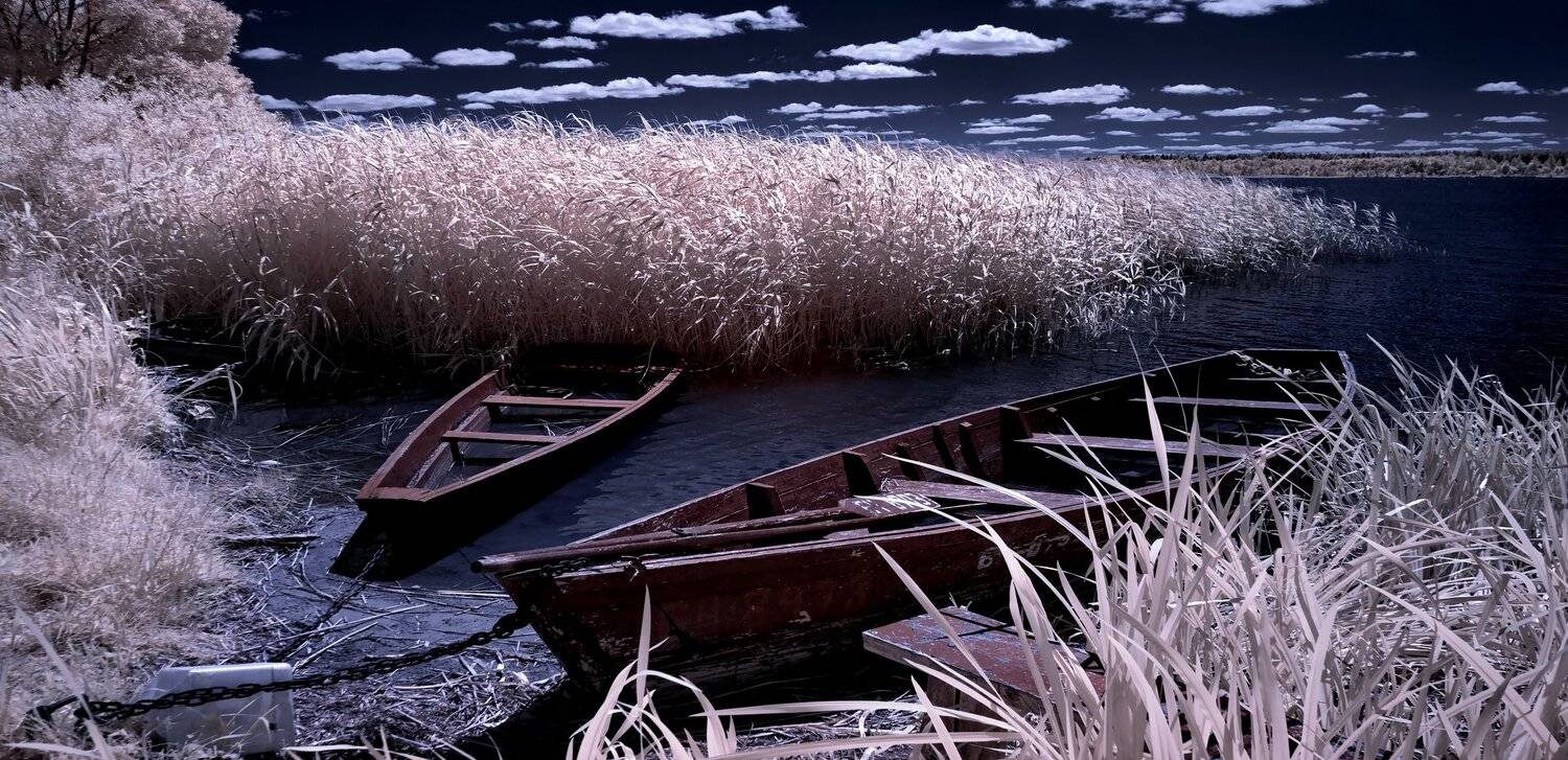 infrared,ик-фото,инфракрасное фото,инфракрасная фотография,пейзаж,природа,беларусь,лето, Sixten ( Сергей )