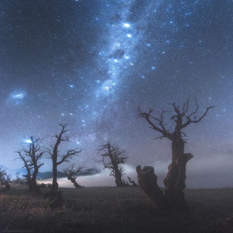 Dreamy night (2) фото превью