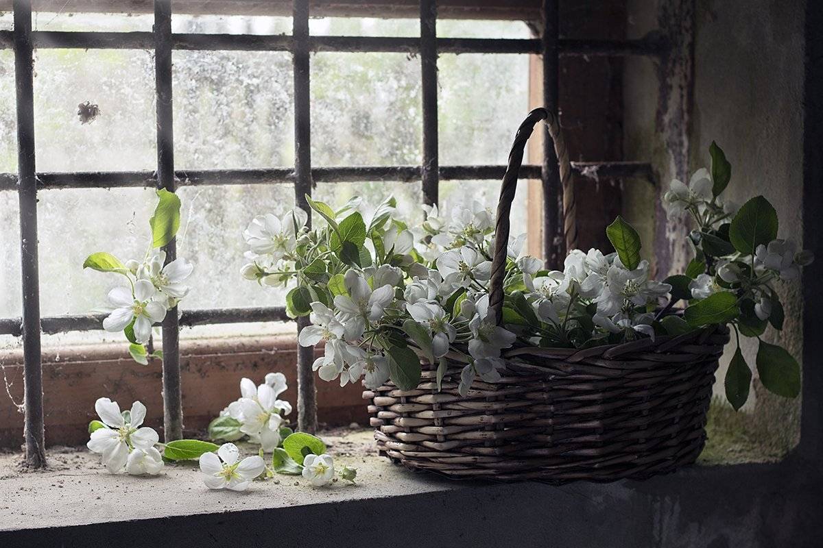 , Наталья Бочкарева