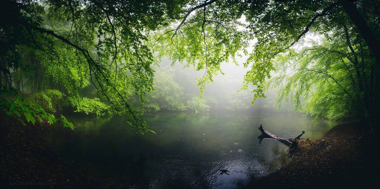 крым, Юрий Коваленко