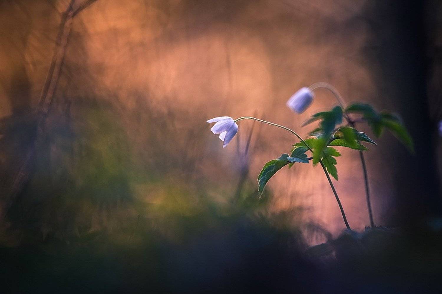 , Вячеслав Мищенко