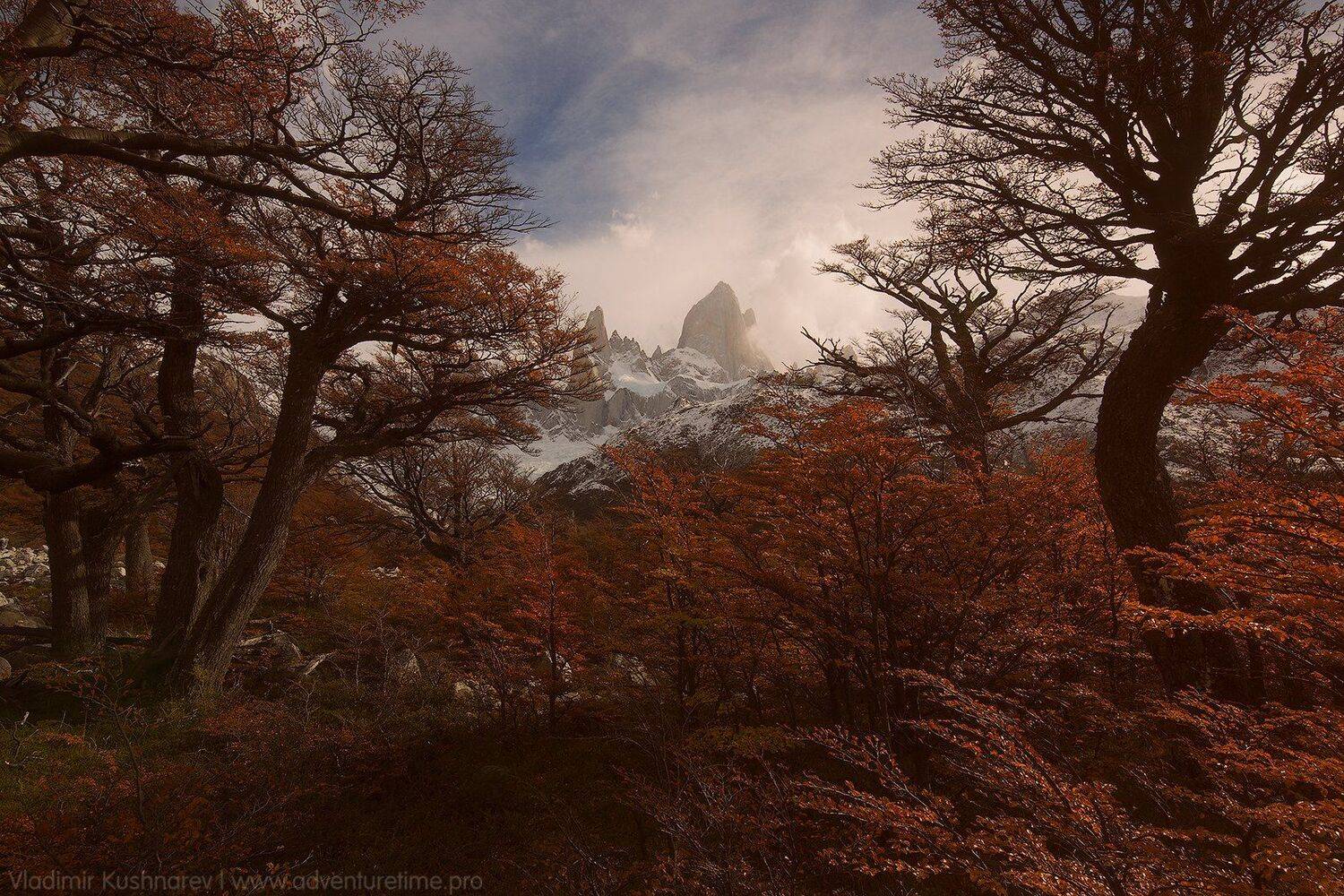 , Vladimir Kushnarev