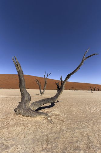 Namibia Desert Sossuvlei