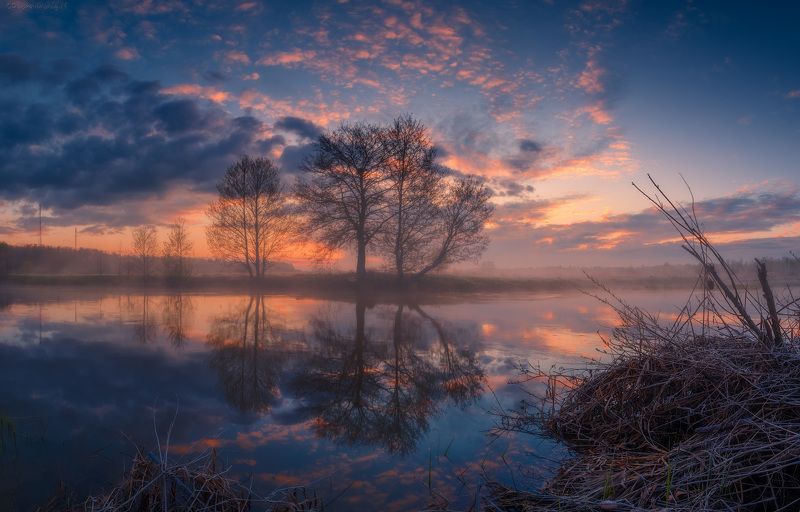 шерна, филипповское Рассвет на Шерне фото превью