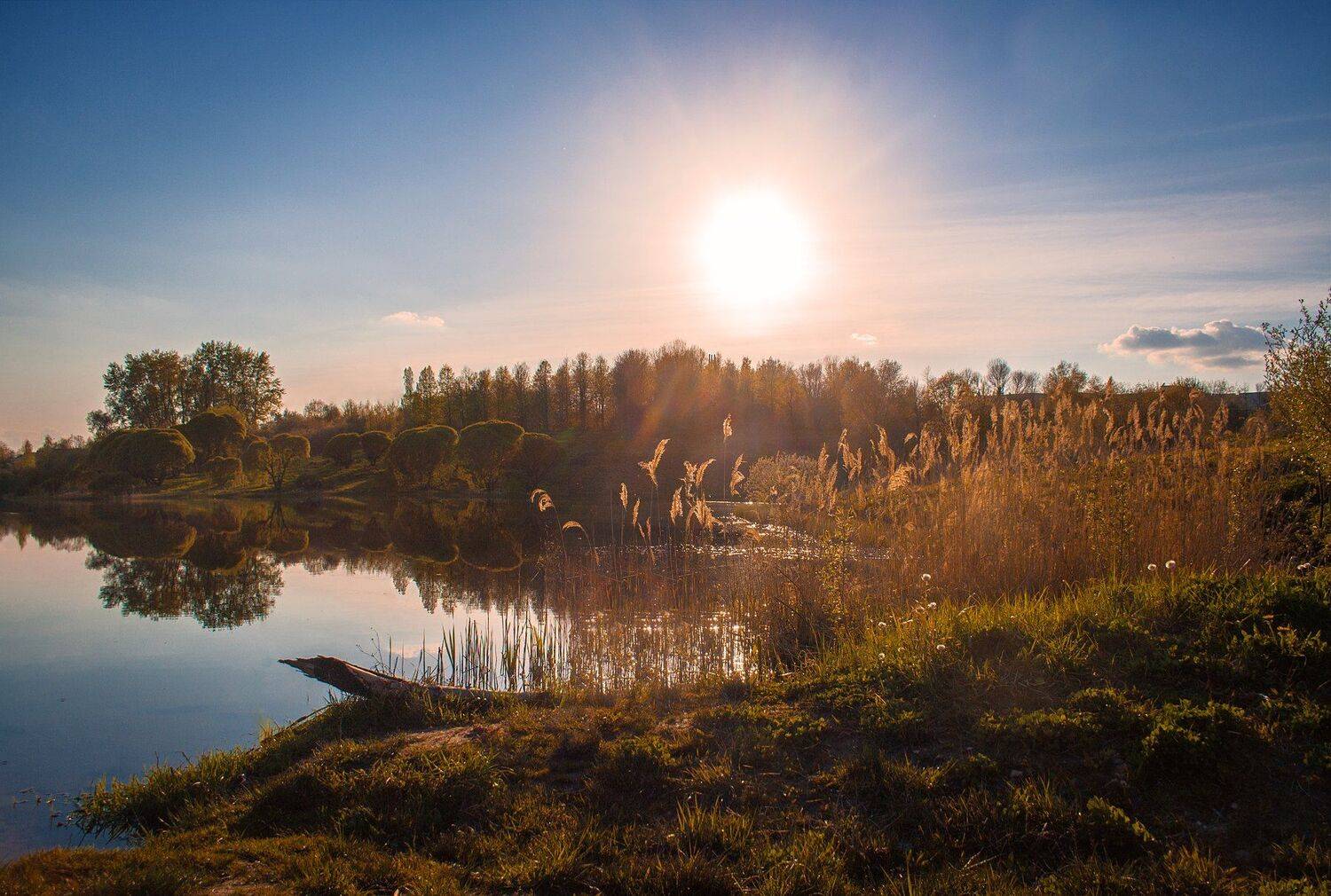 фото, природа, пейзаж, май, весна, Екатерина