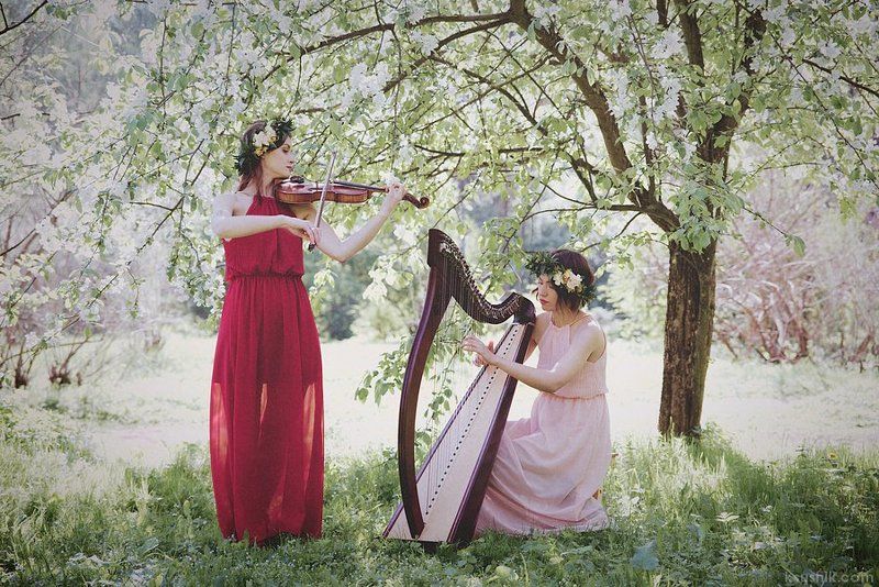 *** фото превью