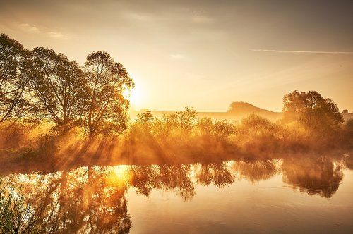 Золото Утра