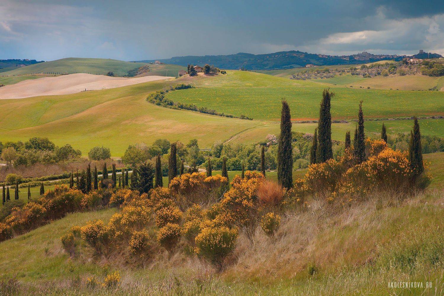 тоскана, природа, путешествие, пейзаж, toskana, италия, italy, landscape, nature, Анастасия Колесникова