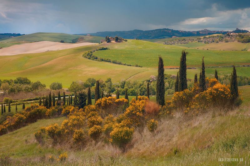 тоскана, природа, путешествие, пейзаж, toskana, италия, italy, landscape, nature Природа Тосканы фото превью