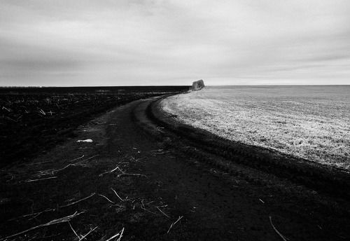 В гостях у Родины 2