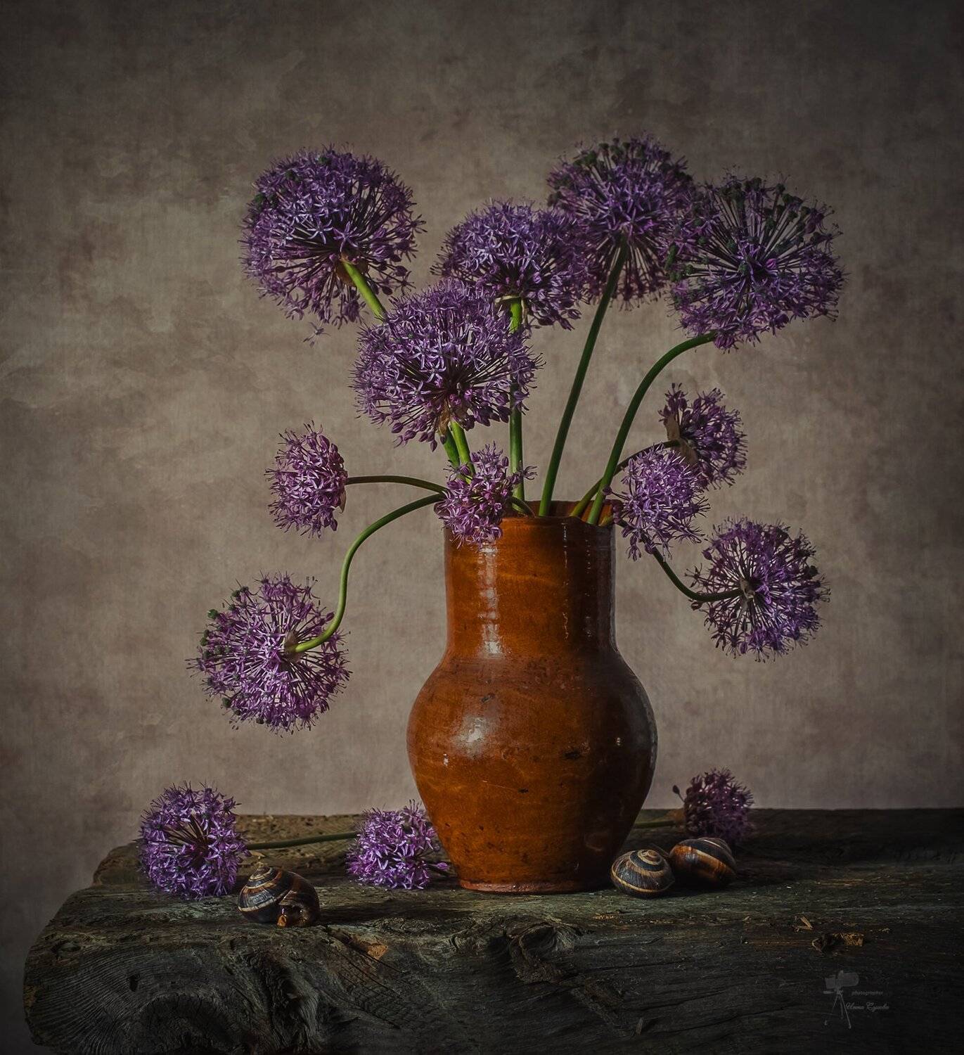 , Инна Сухова