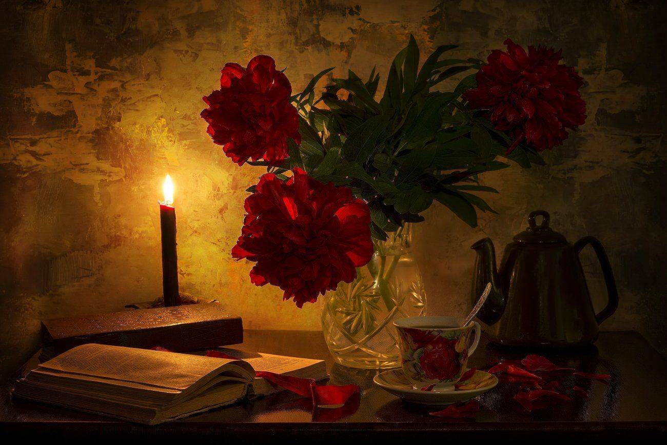 , Елена Брежицкая