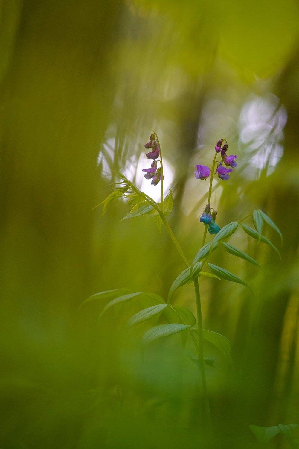 , Кузнецов Дмитрий