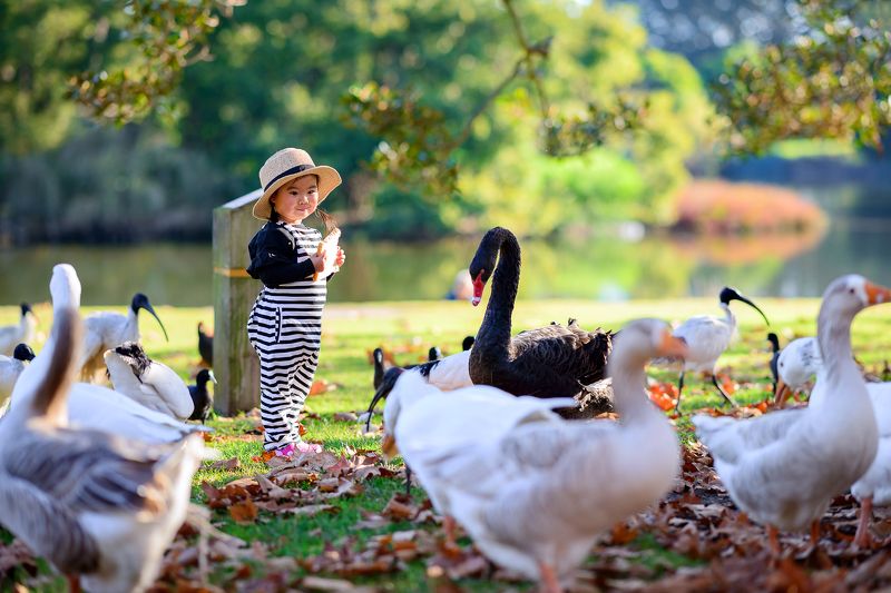 kid, girl, child, park, animal, black swan i\'m hungry фото превью