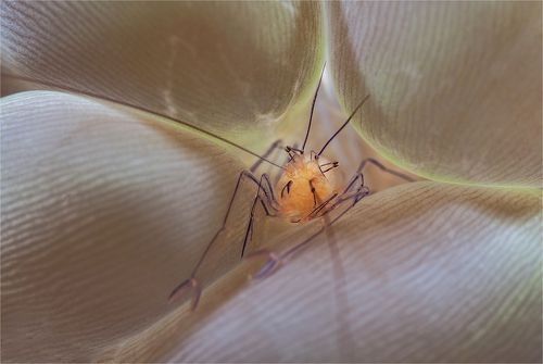 укромный уголок