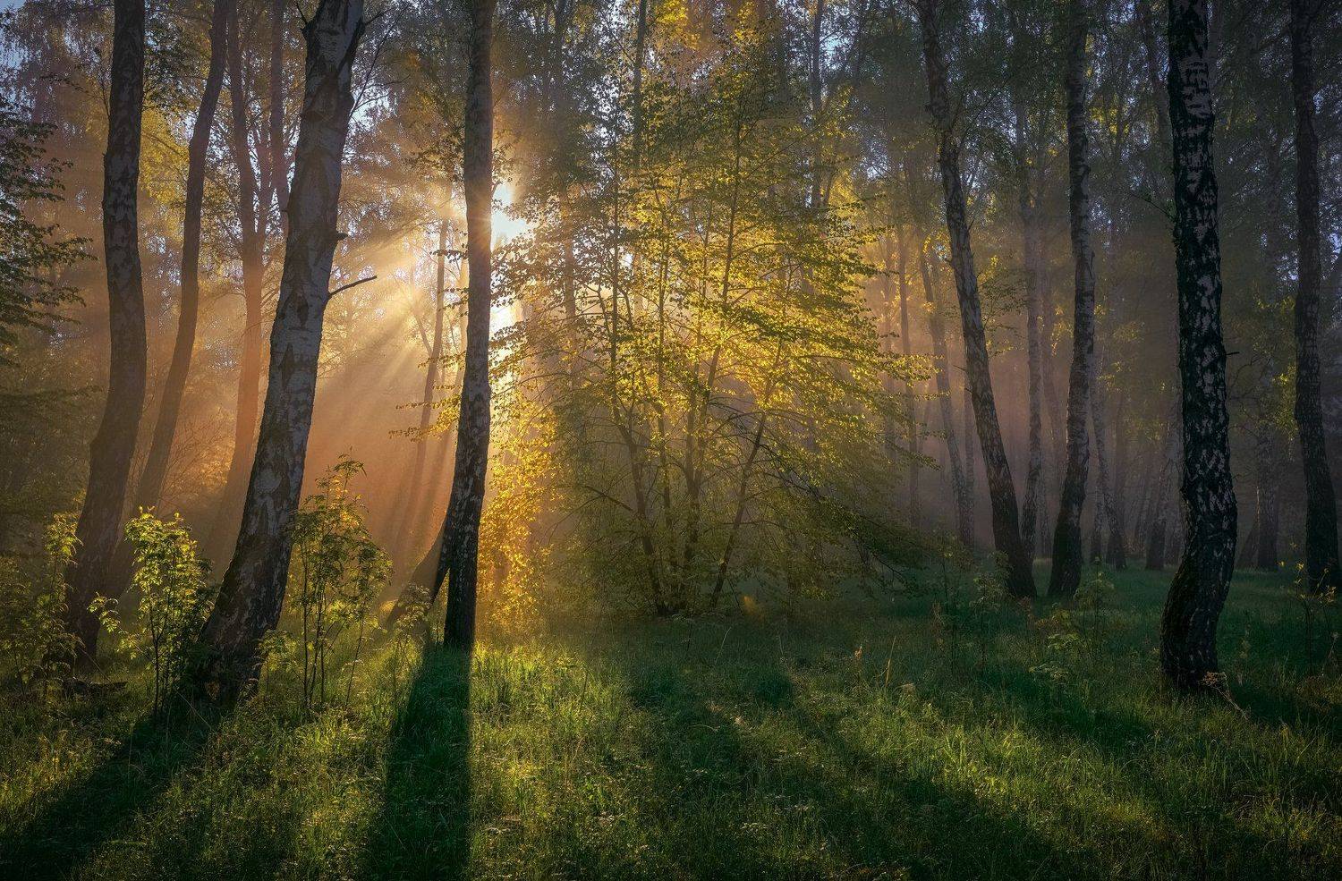 никон, Морозов Юрий