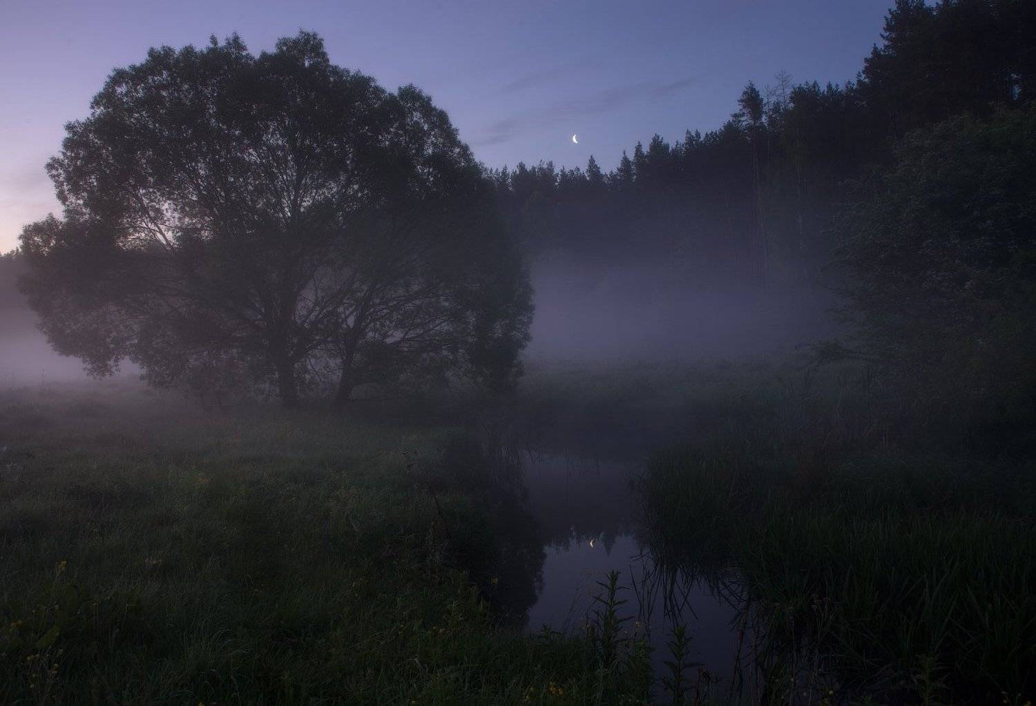 , Сергей Добровольский