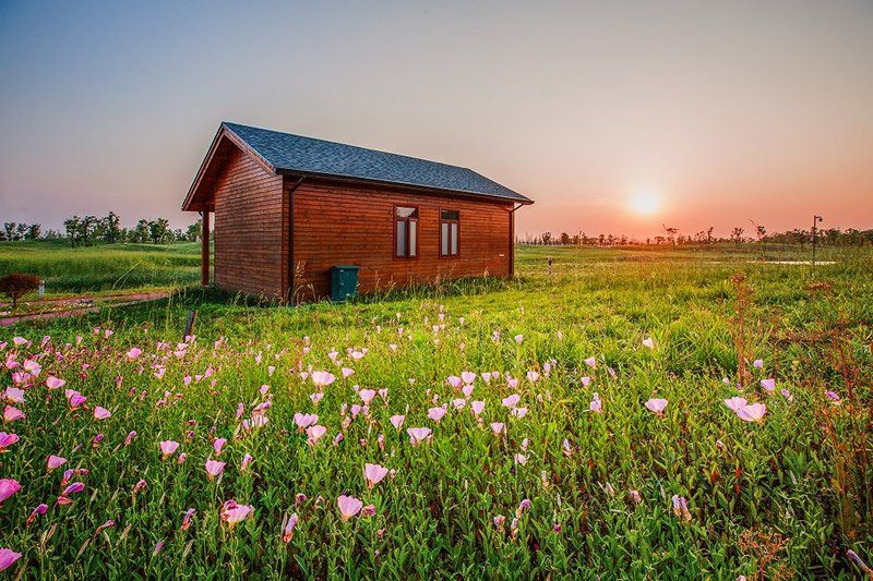 The cabin фото превью