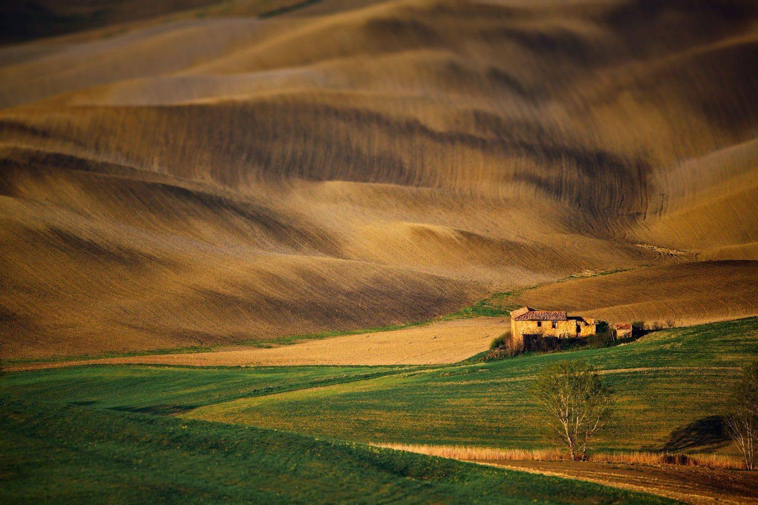 тоскана, Александр Перов