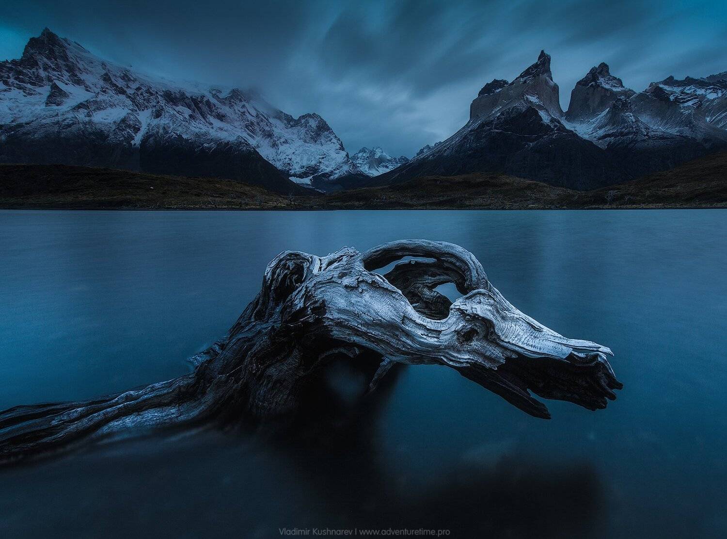 , Vladimir Kushnarev