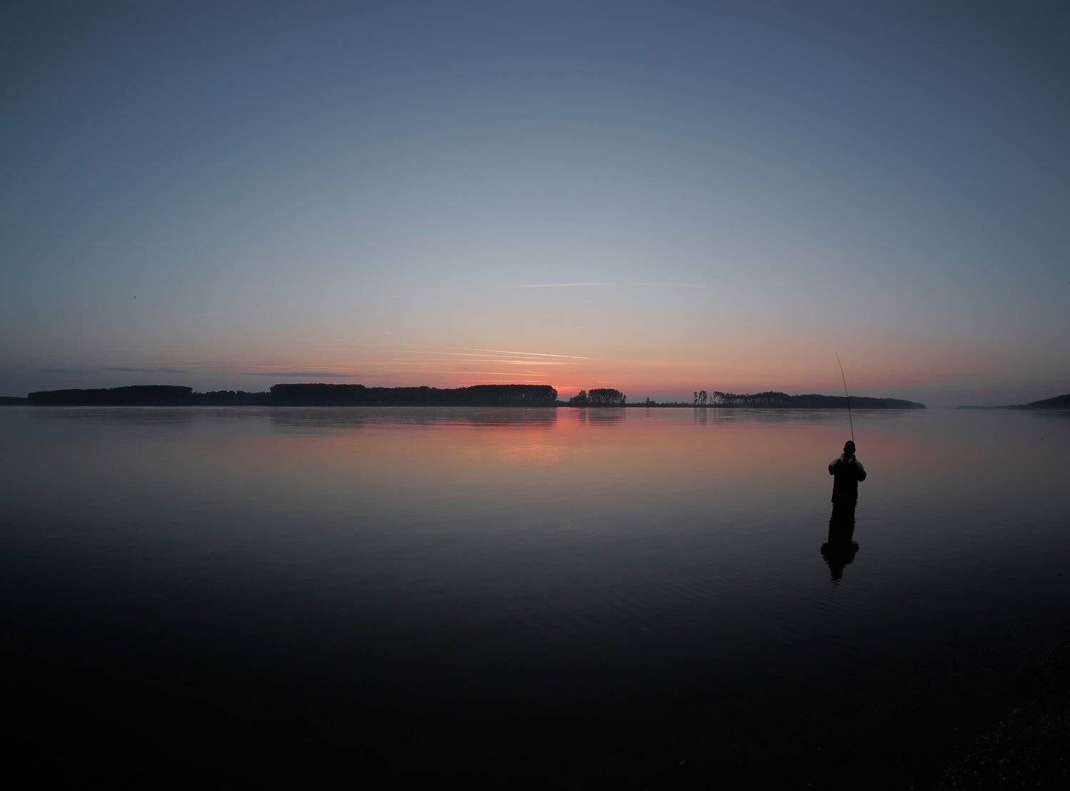 , Димитър Стоянов