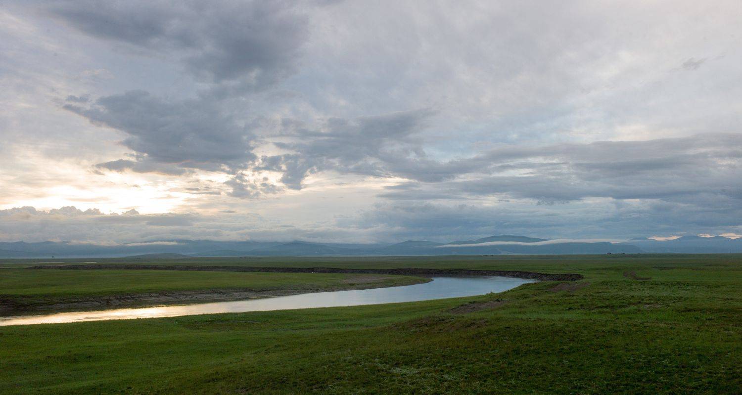 , Михаил Дронов