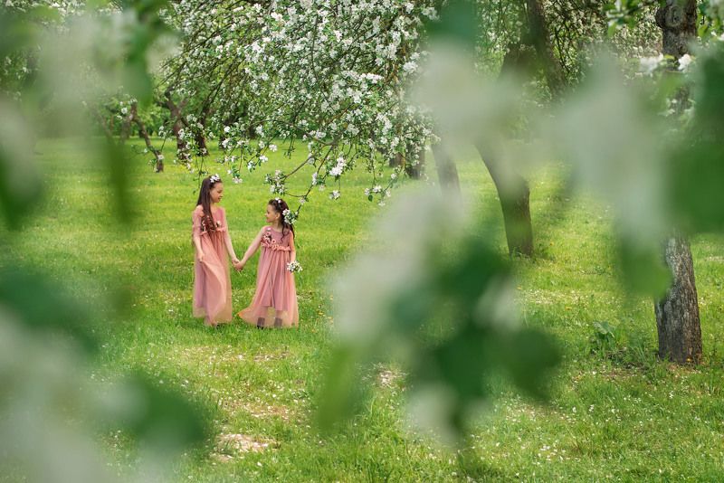 В цветущих садах фото превью