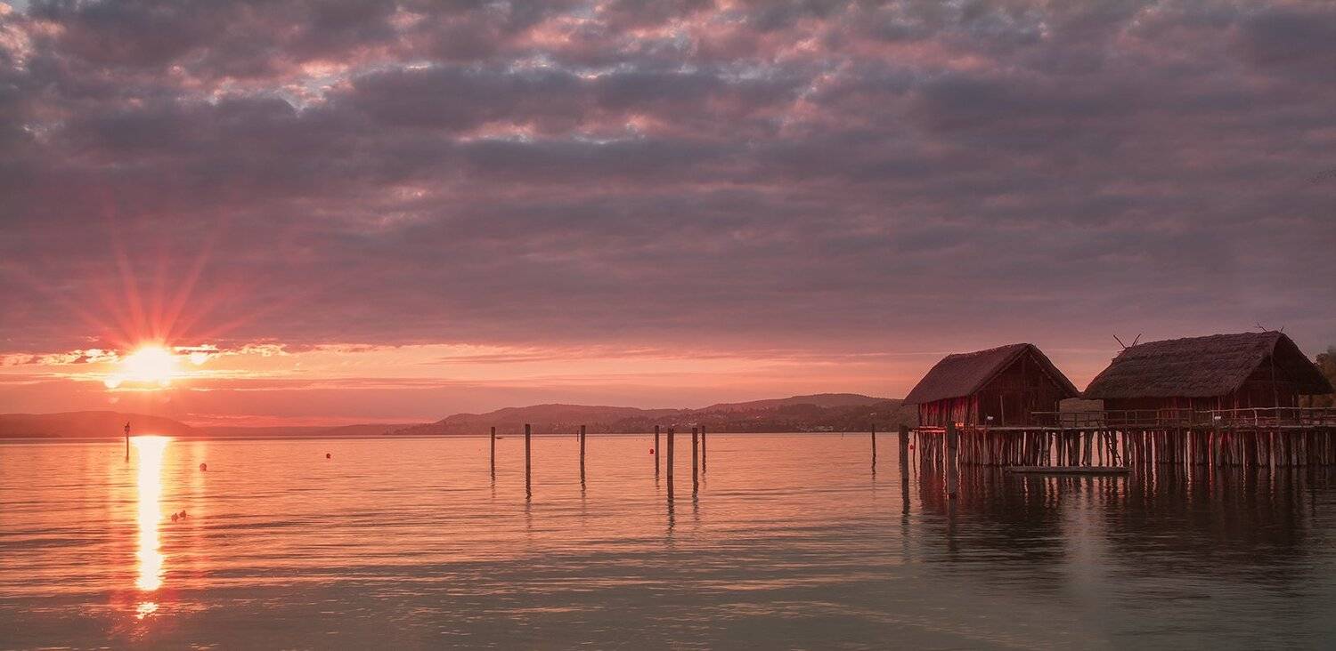 bodensee, Игорь Дубровский