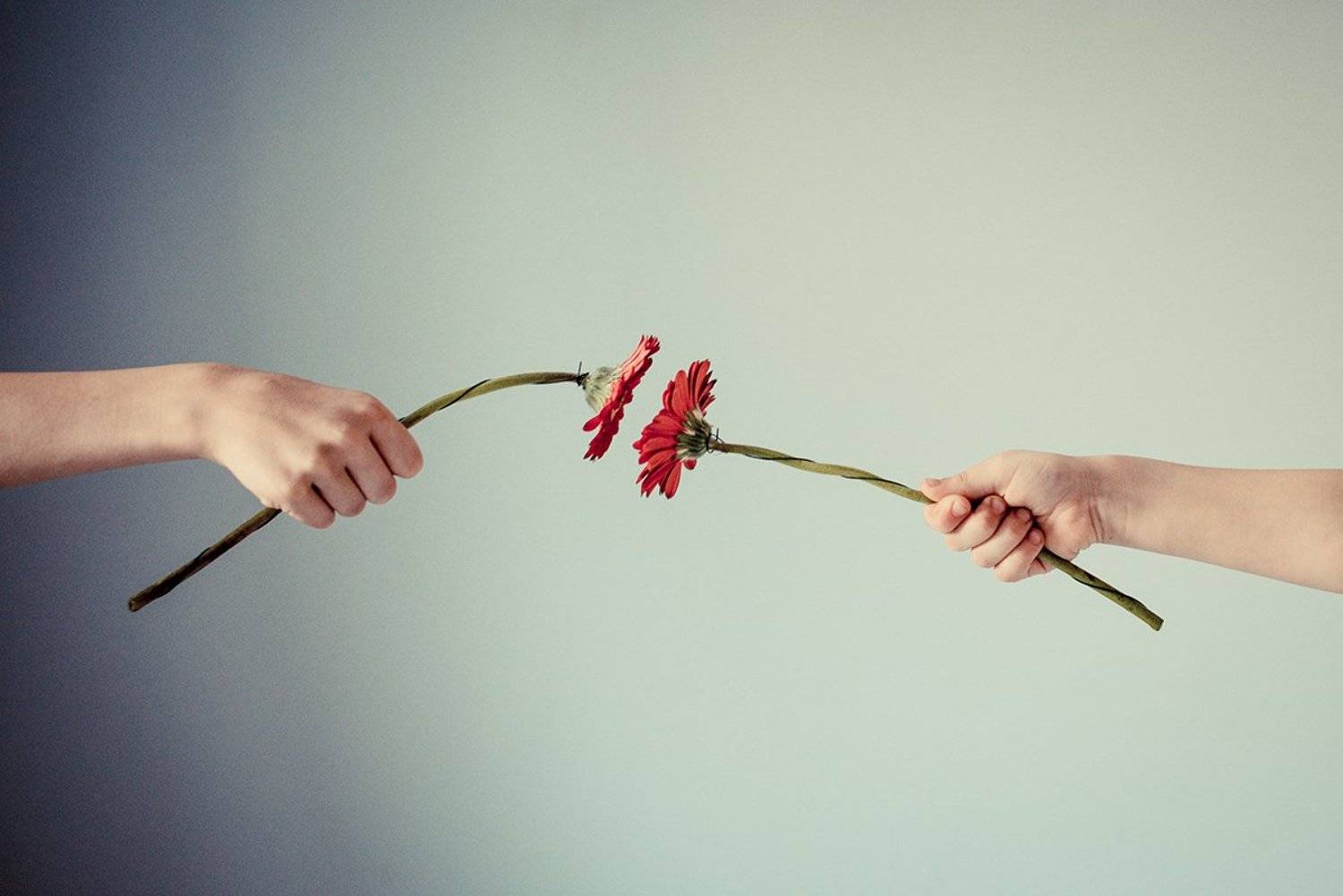 , Ирина Хромова