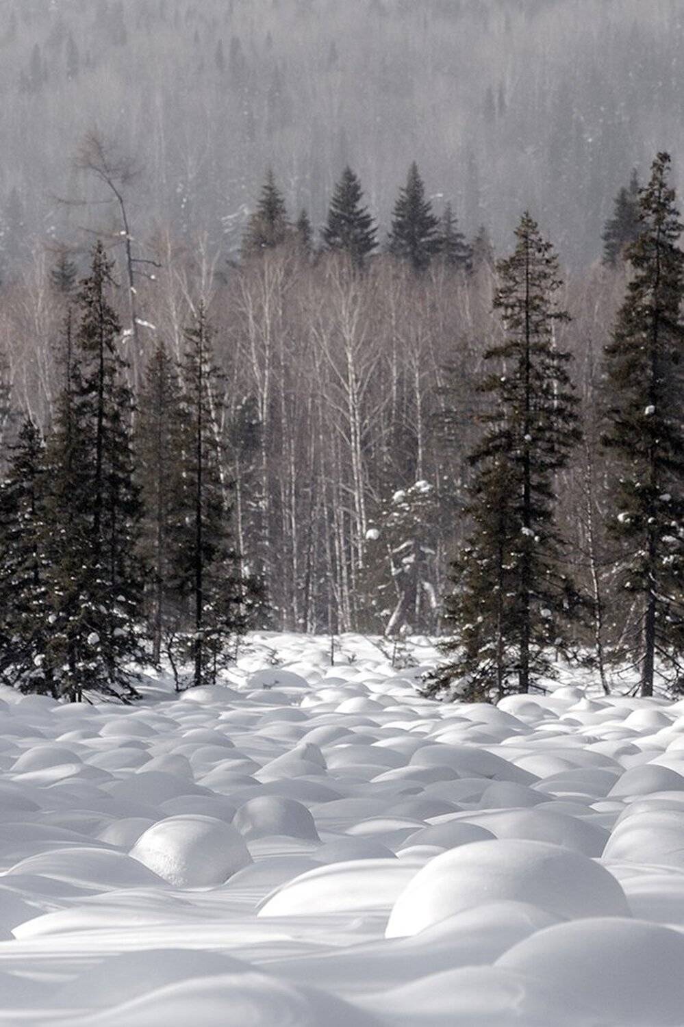 урал, зима, таганай, белый, горы, снег, солнце, Dmitry Bastet