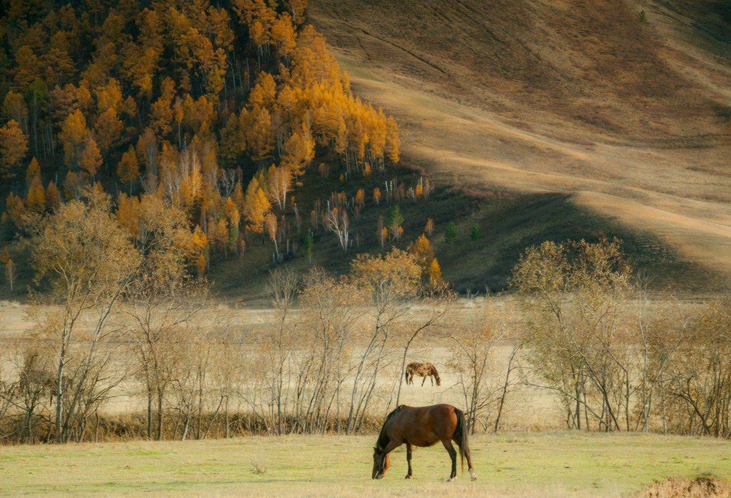 , Николай Морский