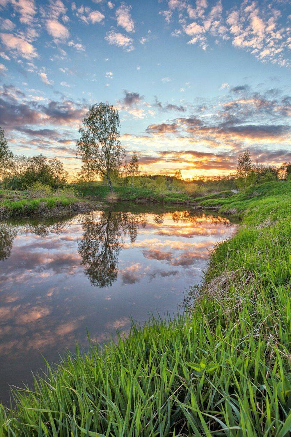 , Николай Андреев