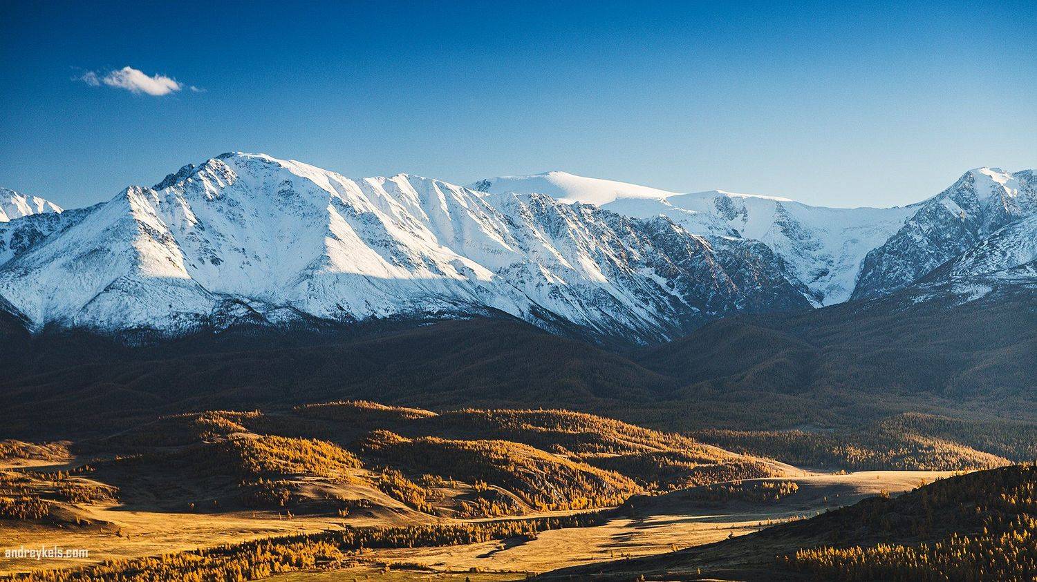 , Андрей Кельс