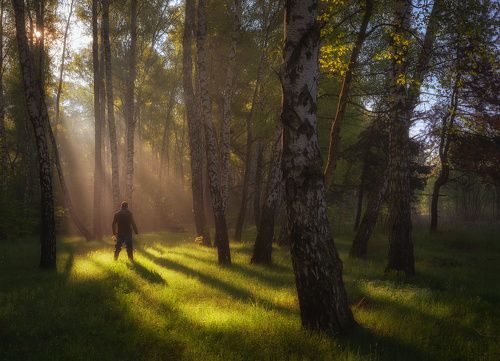 /Волшебное утро.../