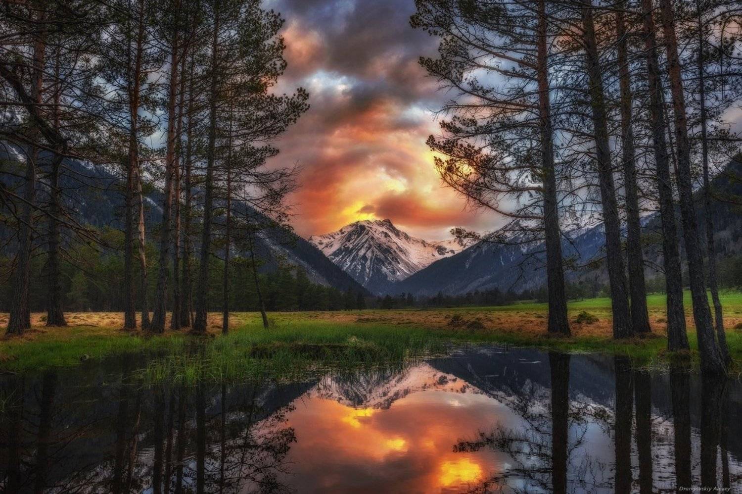 , Алексей Дранговский