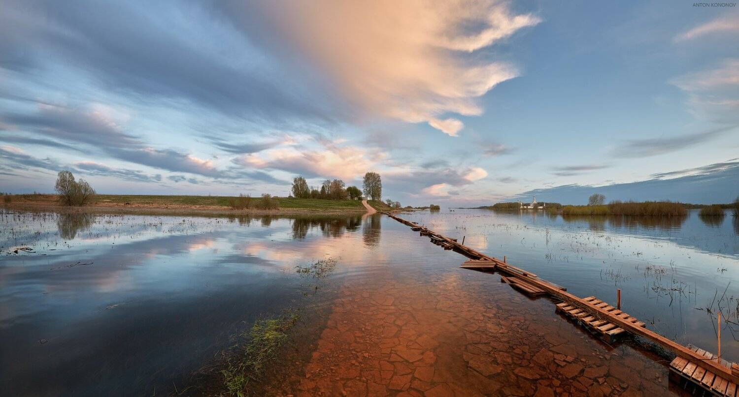 , Антон Кононов